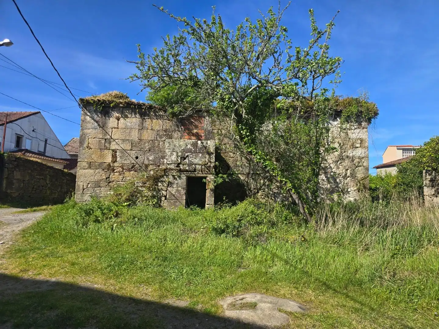https://static.fotocasa.es/images/ads/729c9902-ed66-4af2-9077-d0da1244225a?rule=original