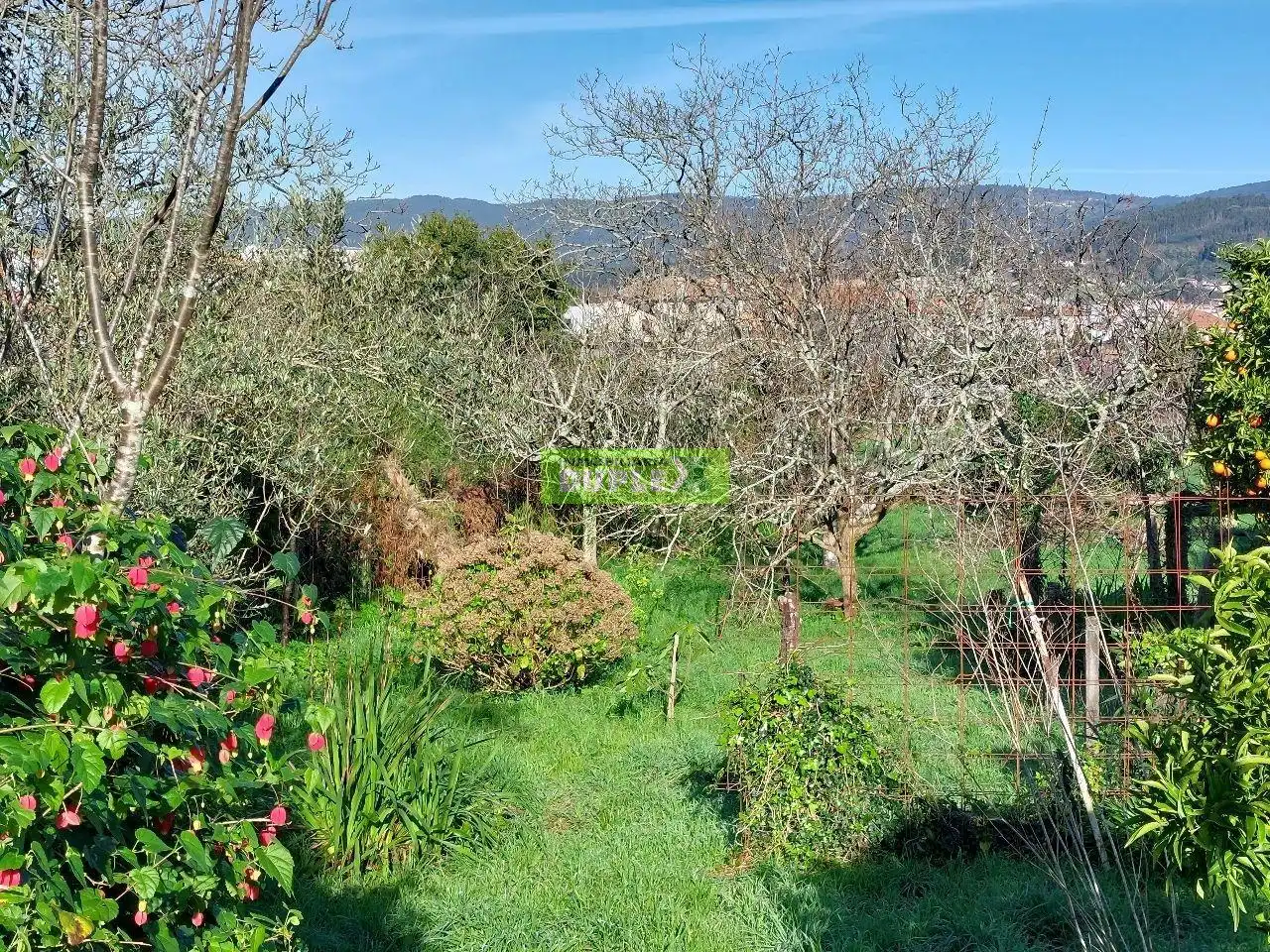 https://static.fotocasa.es/images/ads/874d7ac7-7665-4e9a-a399-f67c6360db7b?rule=original