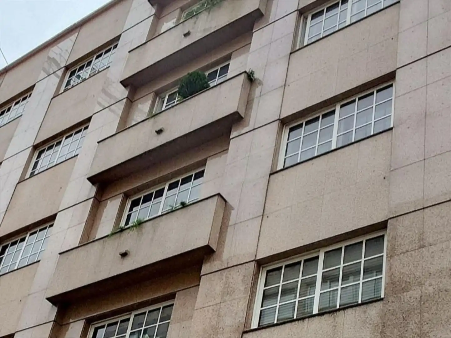 https://static.fotocasa.es/images/anuncio/2025/02/20/185702288/4565479366.jpg?rule=original