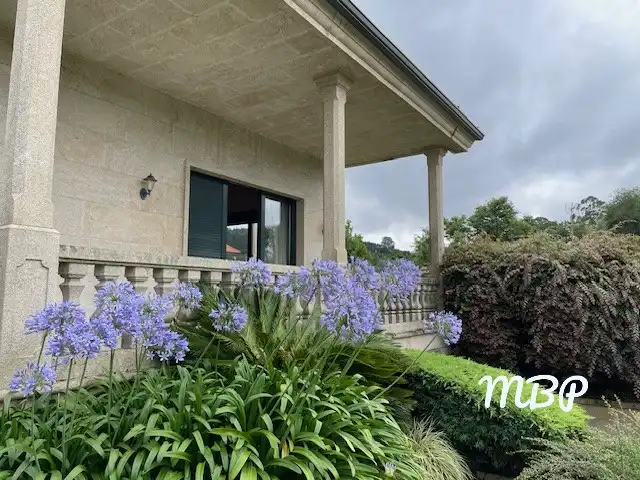 https://static.fotocasa.es/images/ads/77109e78-3c91-454d-a543-eaef53f1d6f2?rule=original