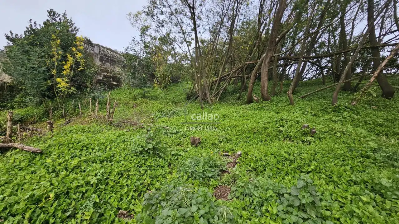 https://static.fotocasa.es/images/ads/fd4065b9-dc99-4893-b727-94c0c7b43ca1?rule=original