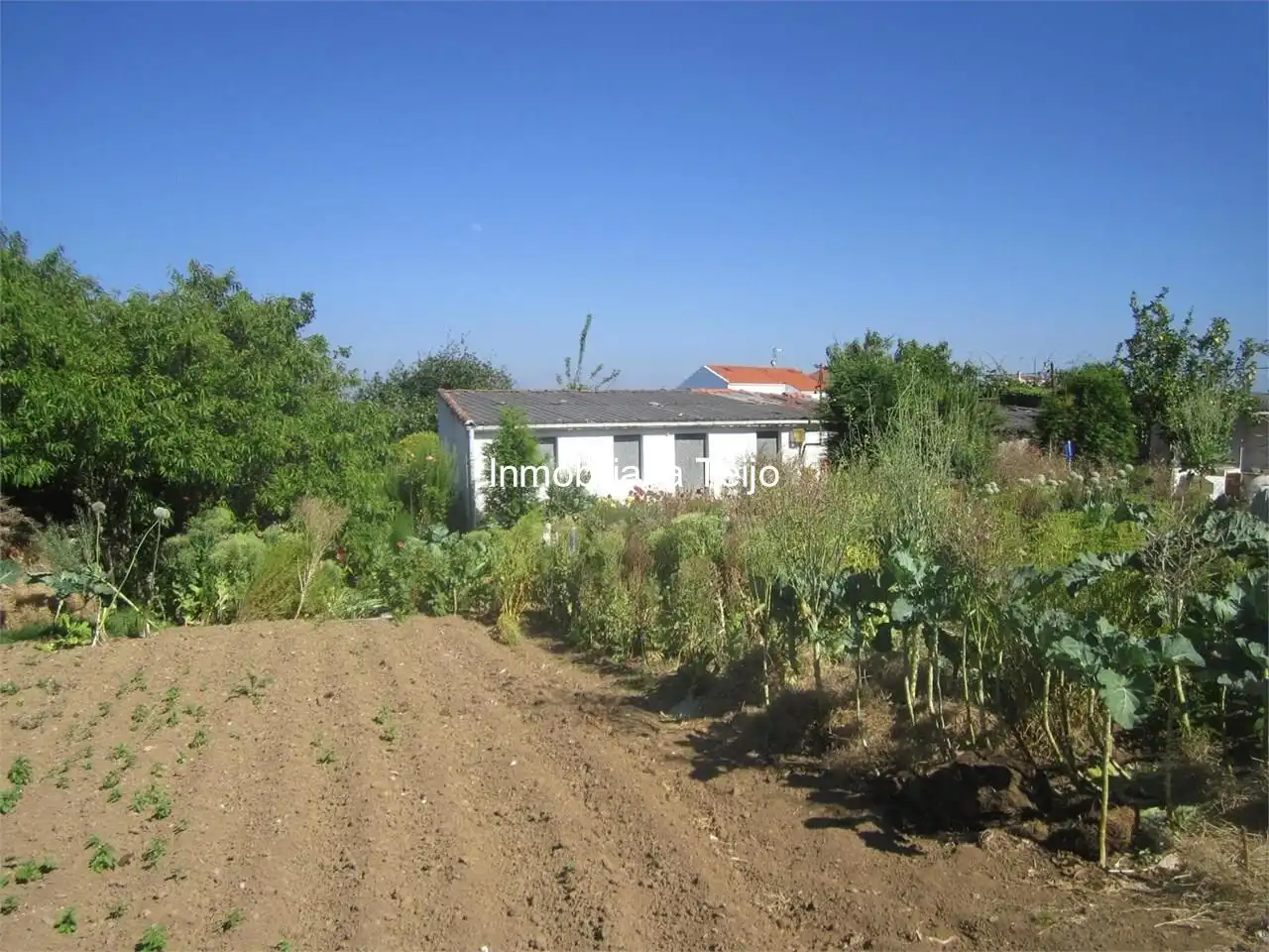 https://static.fotocasa.es/images/ads/e7e12f73-4cea-48da-b81e-23bcd8de65b6?rule=original