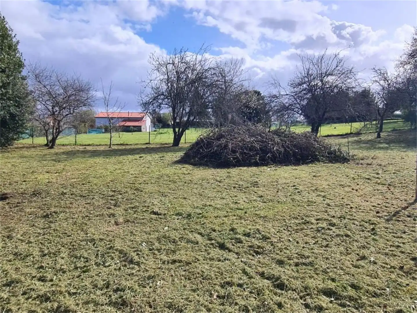 https://static.fotocasa.es/images/anuncio/2023/01/02/176290325/2734805484.jpg?rule=original