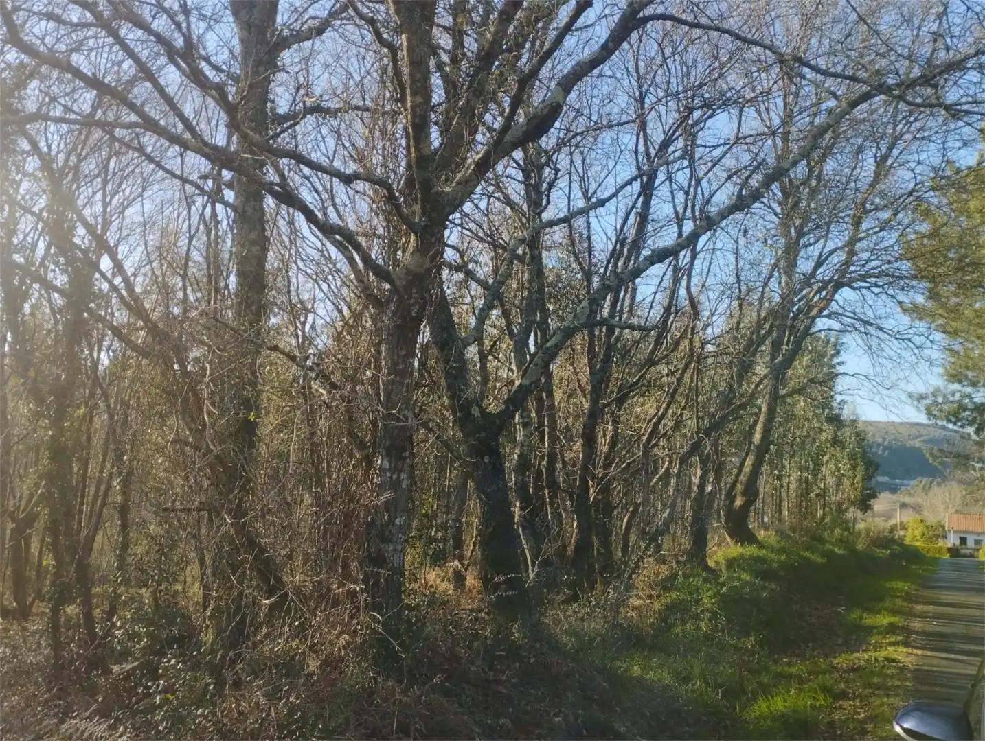 https://static.fotocasa.es/images/anuncio/2024/02/20/182009271/3734115357.jpg?rule=original