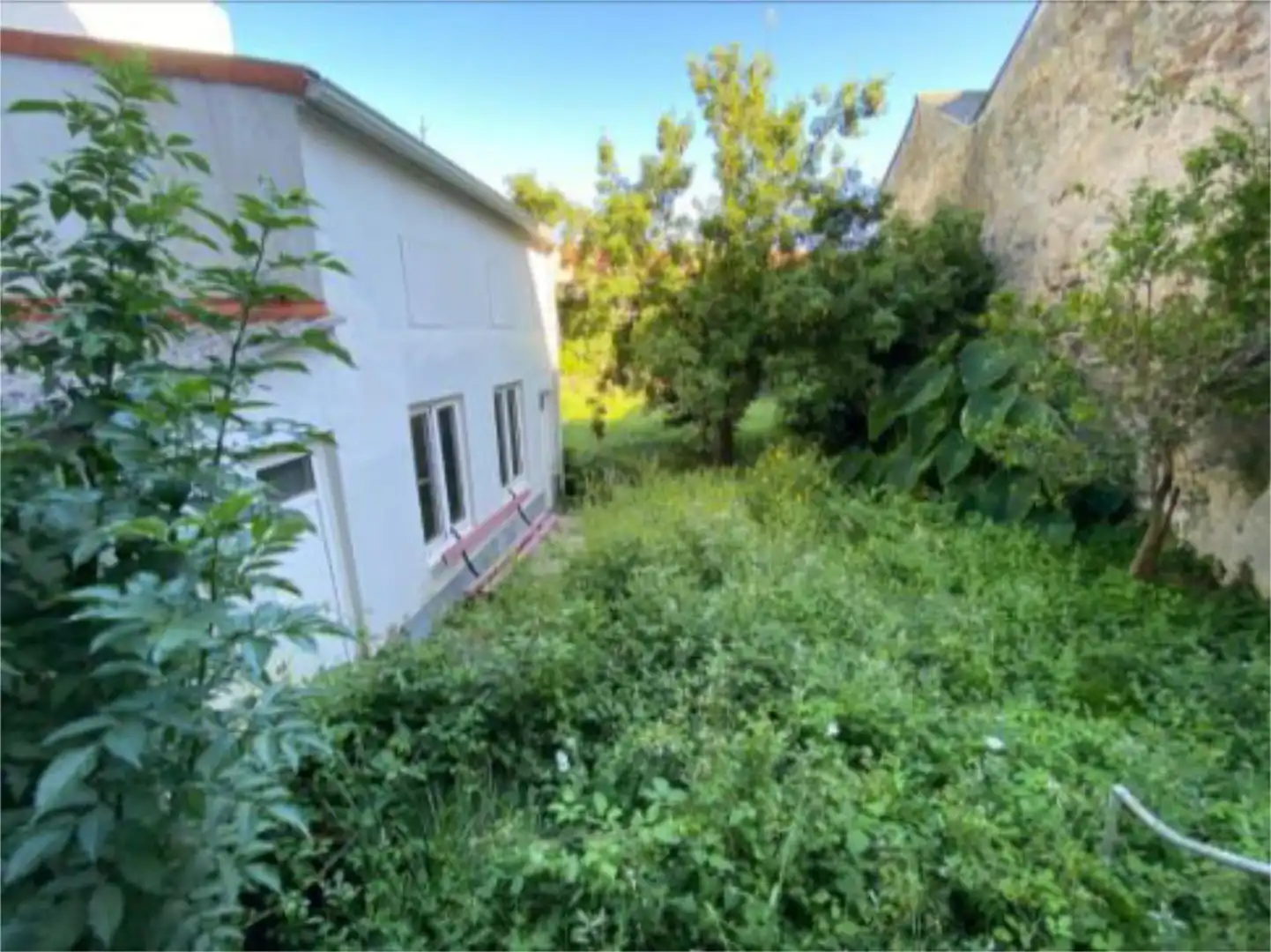 https://static.fotocasa.es/images/anuncio/2026/04/23/189472651/4895696951.jpg?rule=original