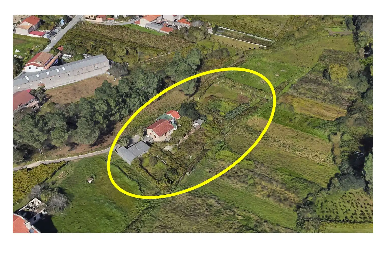https://static.fotocasa.es/images/ads/5c3b9213-ccfd-43f0-8f36-59cea3477eda?rule=original
