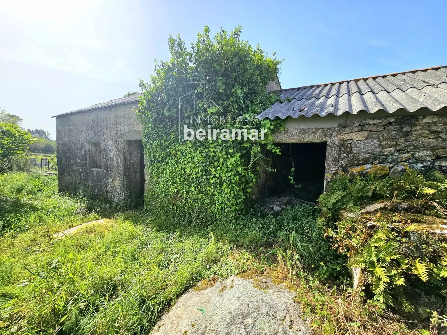 https://static.fotocasa.es/images/ads/01382ec6-dcaa-496b-989d-b529c95c3ba0?rule=original