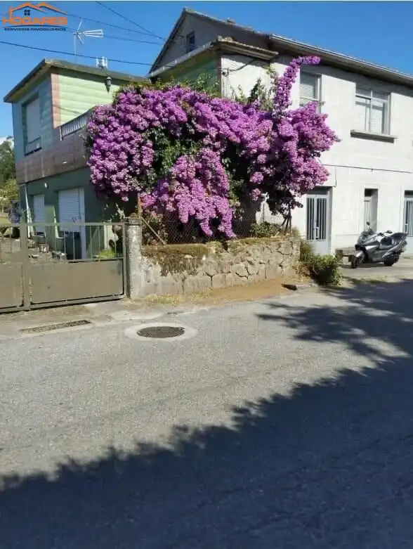 https://static.fotocasa.es/images/ads/51646fd2-bc1f-4a4a-a769-93174192e9dd?rule=original