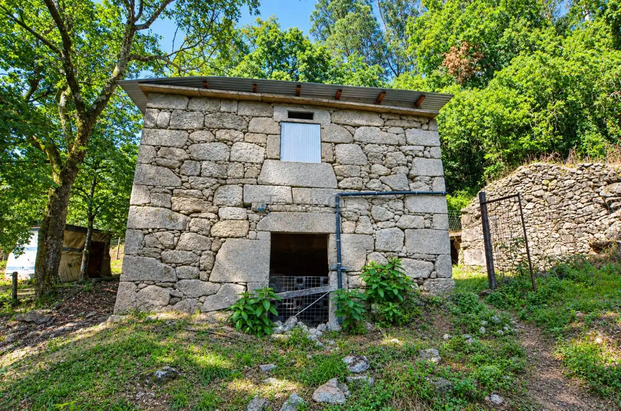 https://static.fotocasa.es/images/ads/2ecb6881-9028-49be-b21e-7eef5c3745ea?rule=original