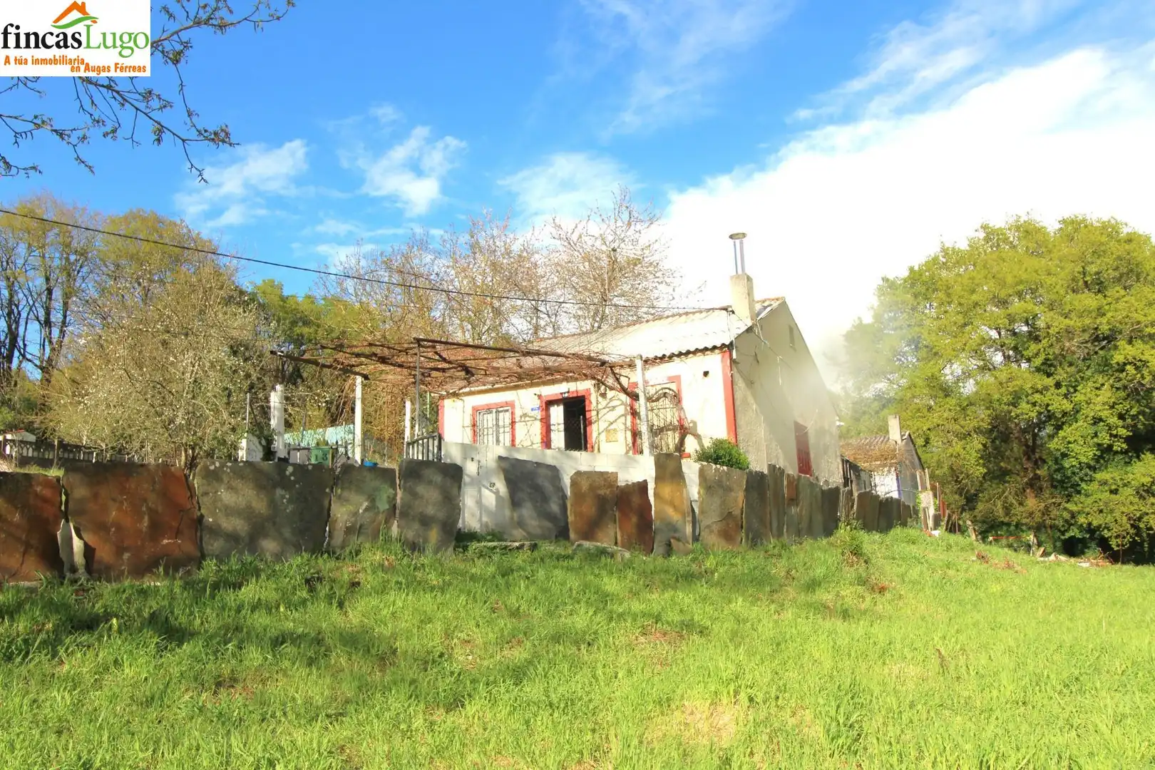 https://static.fotocasa.es/images/ads/262e6117-b2ec-4378-b692-e7f1b27463f5?rule=original