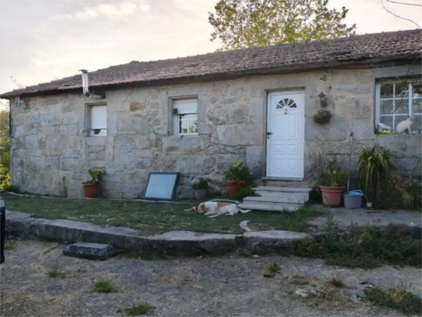 https://static.fotocasa.es/images/anuncio/2026/09/06/190677121/5000882918.jpg?rule=original