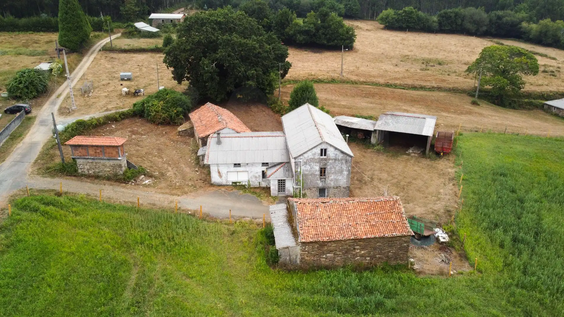 https://static.fotocasa.es/images/ads/7c06e717-53fe-4a20-bbc3-d5e1a3bc8468?rule=original