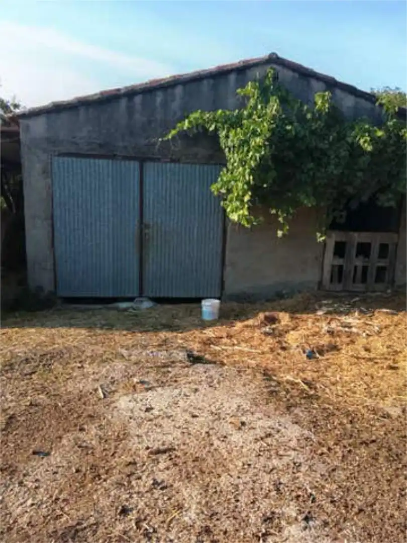 https://static.fotocasa.es/images/anuncio/2026/08/28/190591843/4995831401.jpg?rule=original